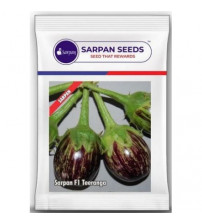 Brinjal Sarpan Teeranga